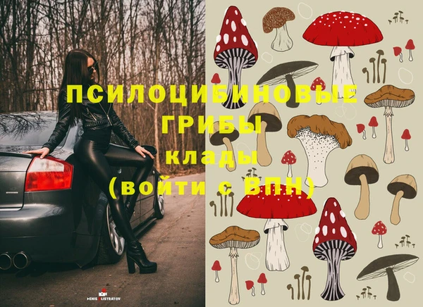 таблы Горнозаводск