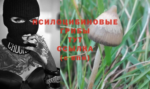 таблы Горнозаводск