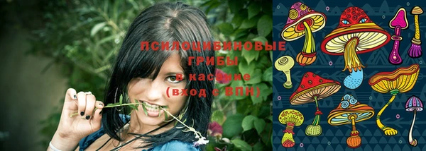 таблы Горнозаводск