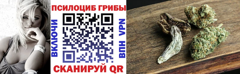 Псилоцибиновые грибы мицелий  Купить где  Киселёвск 
