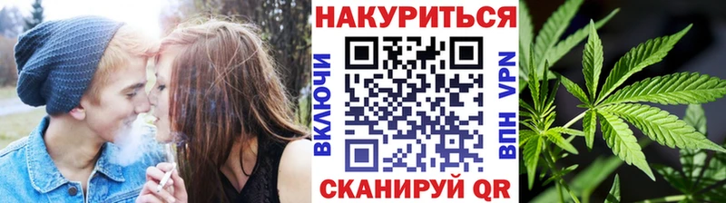 Купить где  Киселёвск  Бошки Шишки семена 